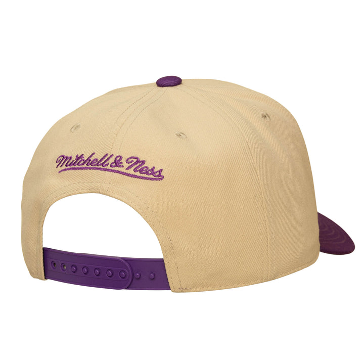 LA Sparks Vintage Script 2T Pro Snapback Hat